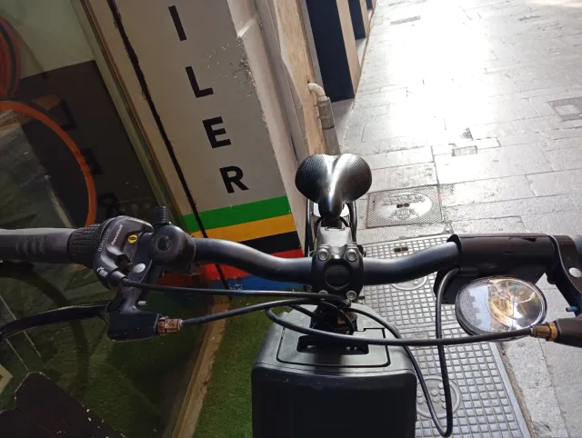 Askoll Bicicleta Eléctrica EB4