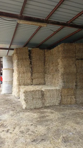 Agrupador Plegamatic