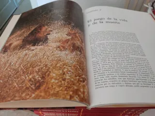 Libros Fauna Ibérica Félix Rodríguez de la Fuente