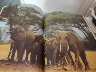 Libros Fauna Ibérica Félix Rodríguez de la Fuente