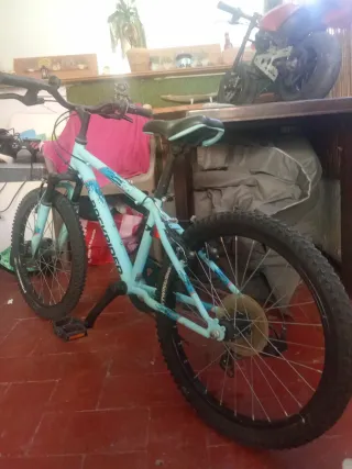 Bicicleta Infantil Niña/Niño