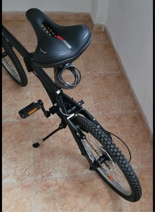 Bici pieghevole nera