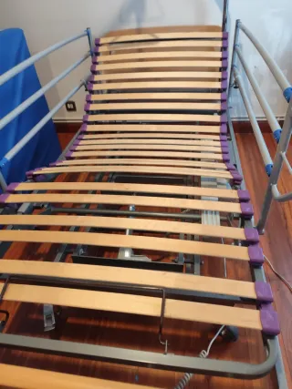 Cama geriátrica Domukea con carro elevador