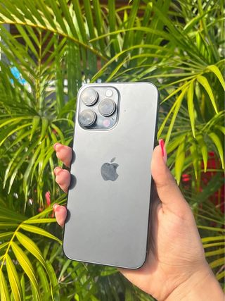 iPhone 14 Pro Max 256GB Negro/Gris