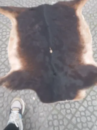 Alfombra Piel Natural Negra y Marrón