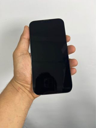 iPhone 13 Pro Max Nero/Grigio