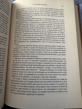 Libro Más allá del mar de hielo.