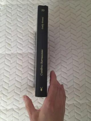 Cumbres borrascosas (Gótica) (Spanish Edition)