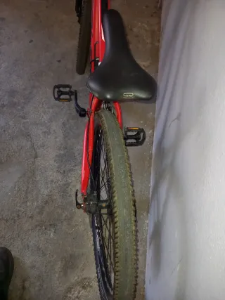 Bicicleta de Montaña