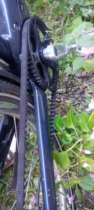 Bicicleta Eléctrica Schindelhauer (Alemana)