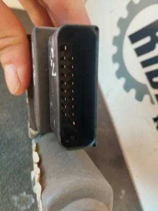 Elevalunas Eléctrico VW Golf V MK5 Tras Izquierdo