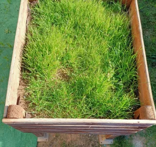 Mesa de cultivo en madera hecha a mano