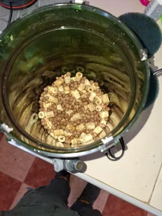 Filtro Eheim Classic 350