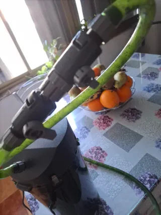 Filtro Eheim Classic 350