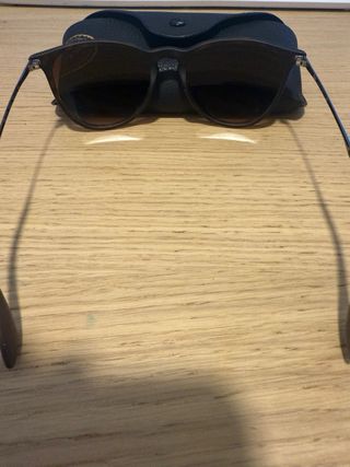 Gafas de Sol Ray-Ban Marrones y Negras