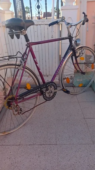 Bicicleta Morada Vintage