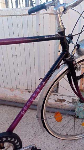 Bicicleta Morada Vintage