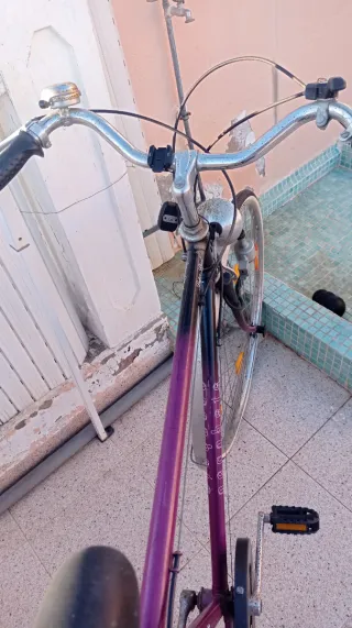 Bicicleta Morada Vintage
