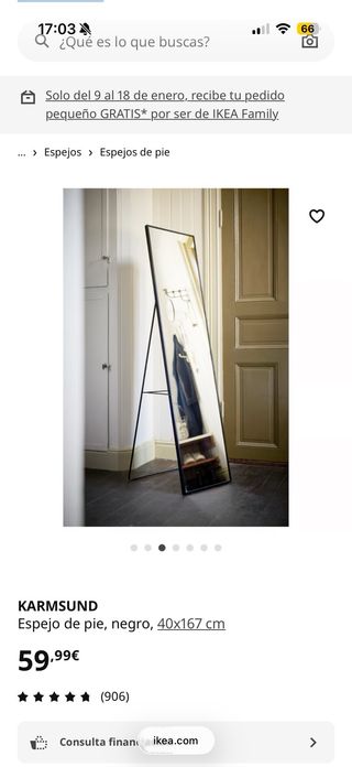 Espejo KARMSUND IKEA negro 40x167 cm