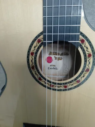 Guitarra flamenca ctw autoamplificada