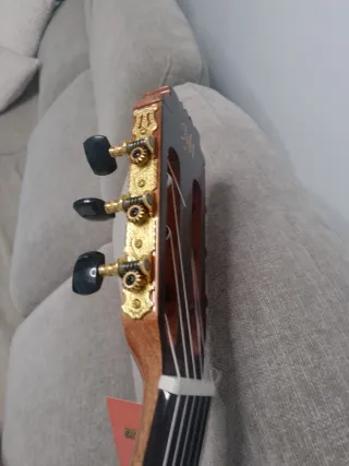 Guitarra flamenca ctw autoamplificada