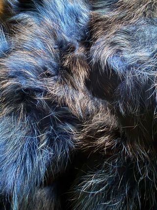 Chaleco ( bdba )de pelo azul y negro