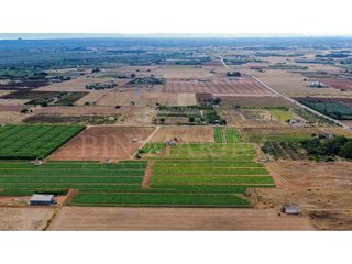 Terreno en venta en Muro