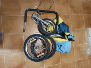 Carro remolque bici niños/perros