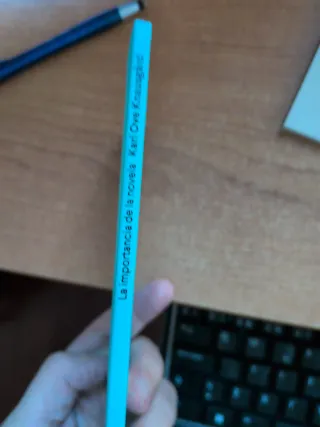 La Importancia de la Novela