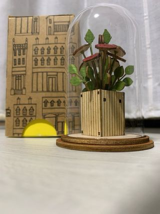Idea regalo: Fiori in campana di vetro