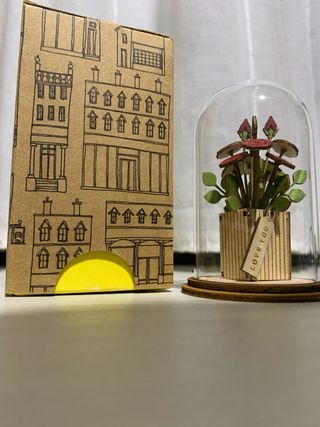 Idea regalo: Fiori in campana di vetro