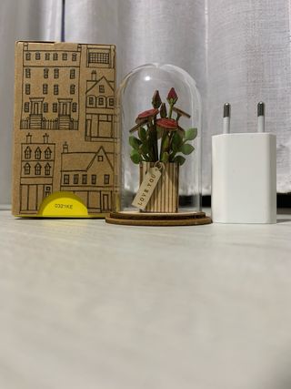 Idea regalo: Fiori in campana di vetro