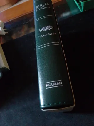 NVI Biblia del Pescador letra grande, verde sím...