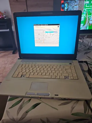 Sony Vaio Ordenador Portátil Beige/Negro