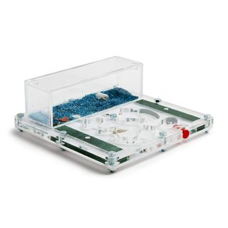 Hormiguero Acrílico Transparente con Decoración Az