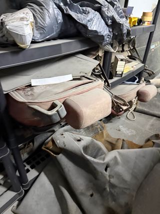 Alfa Romeo Spider 1981