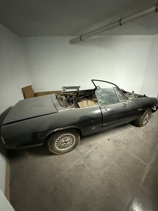 Alfa Romeo Spider 1981