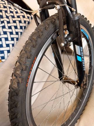 2 Bicicletas Infantiles/Juveniles (8-12 años)