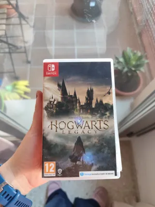 Hogwarts Legacy Nintendo Switch