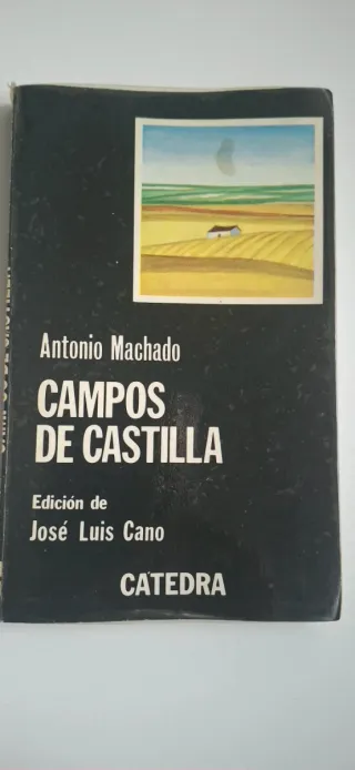 Campos de Castilla (Letras hispánicas) (Spanis...