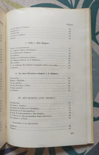 Don Quijote ante el mundo (y ante mí).