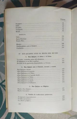 Don Quijote ante el mundo (y ante mí).