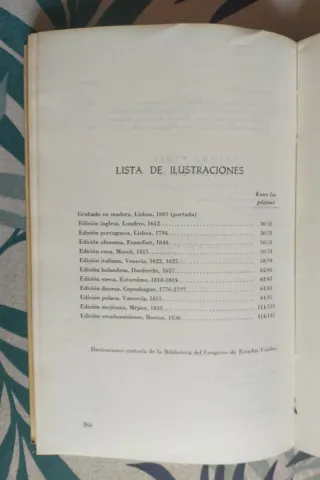 Don Quijote ante el mundo (y ante mí).