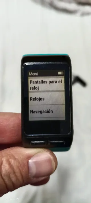 Reloj Garmin Vivoactive HR