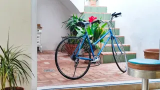 Bicicleta Orbea Deba Azul