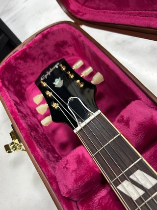 Epiphone ES-345 Back to The Future