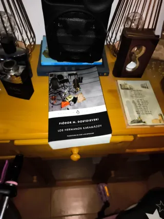 Libro dostoievski, hermanos karamazov
