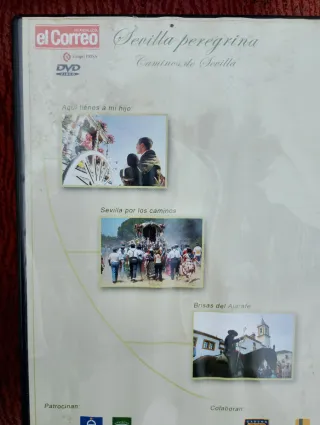 10 DVDs Sevilla Peregrina