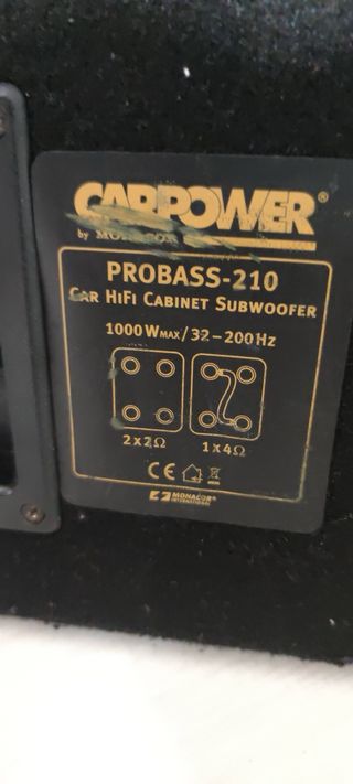 Subwoofer y Etapa 1000W RMS 10 pulgadas