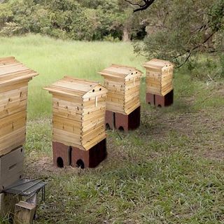 Colmena de madera para abejas